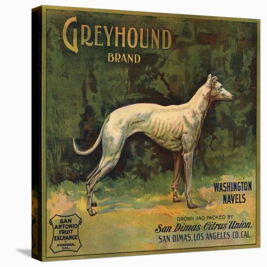 Greyhound Brand - San Dimas, California - Citrus Crate Label-Lantern Press-Stretched Canvas