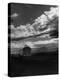 Greyhound Bus Driving Down Highway 30-Allan Grant-Premier Image Canvas