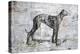 Greyhound-Henry Henry-Premier Image Canvas