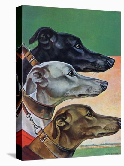 "Greyhounds," March 29, 1941-Paul Bransom-Premier Image Canvas