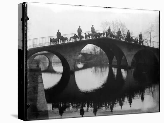 Greyhounds on a Bridge-null-Premier Image Canvas