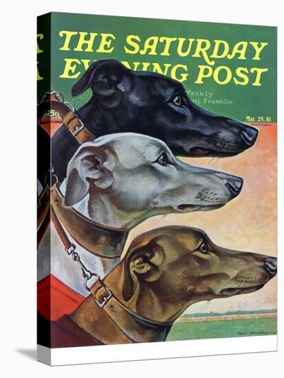 "Greyhounds," Saturday Evening Post Cover, March 29, 1941-Paul Bransom-Premier Image Canvas