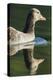 Greylag Goose. Germany, Bavaria, Munich-Martin Zwick-Premier Image Canvas