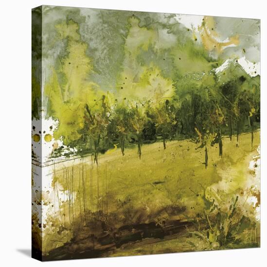 Griffith Park II-Kelsey Hochstatter-Stretched Canvas