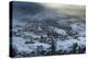 Grindelwald, Jungfrau region, Bernese Oberland, Swiss Alps, Switzerland, Europe-Frank Fell-Premier Image Canvas