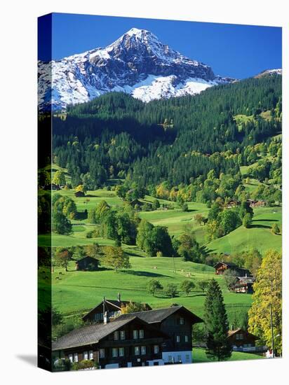Grindewald, Switzerland-Peter Adams-Premier Image Canvas