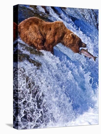 Grizly Bears at Katmai National Park, Alaska, USA-Gleb Tarro-Premier Image Canvas