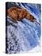 Grizly Bears at Katmai National Park, Alaska, USA-Gleb Tarro-Premier Image Canvas