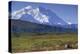 Grizzly Bear Feeding on Tundra Below Mt. Mckinley-Paul Souders-Premier Image Canvas