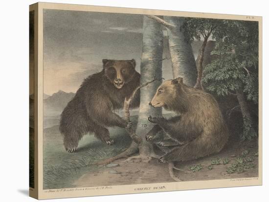Grizzly Bears-J. R. Peale-Premier Image Canvas