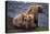 Grizzly Cubs with Mother by River-DLILLC-Premier Image Canvas