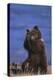 Grizzly Hiding behind Paws-DLILLC-Premier Image Canvas