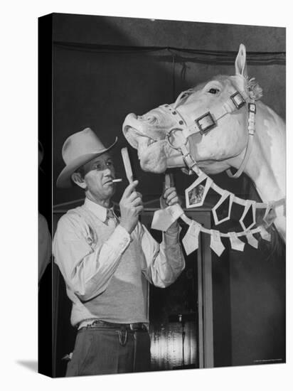 Groom Cleaning Horse's Teeth During Filming of the Movie "The Ziegfeld Follies"-John Florea-Premier Image Canvas