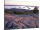 Grooves in the Granite on Summit of Cadillac Mountain, Acadia National Park, Maine, USA-Jerry & Marcy Monkman-Premier Image Canvas