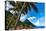 Gros Piton, with palm trees and thatched sun umbrellas, Sugar Beach, St. Lucia, Windward Islands, W-Martin Child-Premier Image Canvas