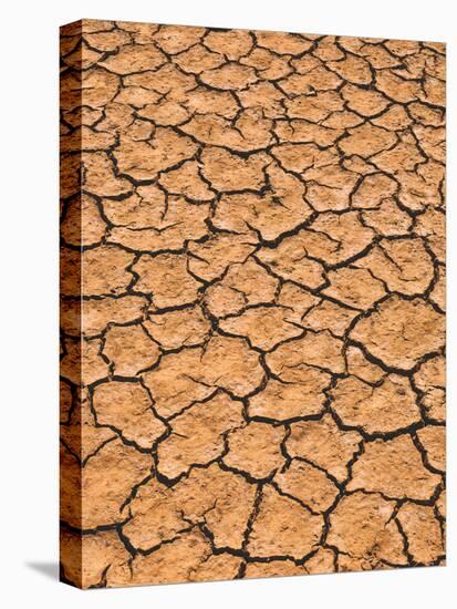 Ground, Earth, Rips, Drought, Dryness-Thonig-Premier Image Canvas