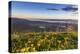 Groundsel, Swan Range Looking Down onto Flathead Lake, Montana-Chuck Haney-Premier Image Canvas