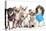 Group Of Dogs Dressed-Up : 5 Chihuahuas And A Shih Tzu-Life on White-Premier Image Canvas