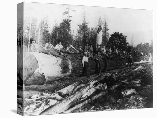 Group of Lumberjacks on Large Log Photograph - Cascades, WA-Lantern Press-Stretched Canvas