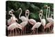 Group of Pink Flamingos-panda3800-Premier Image Canvas