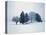 Group of trees in winter-Herbert Kehrer-Premier Image Canvas