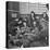 Group of Us Army Nurses Relaxing During Stopover on Guam En Route to their Final Destinations-J^ R^ Eyerman-Premier Image Canvas