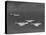 Group of Us Navy Bombers Flying in Formation-Carl Mydans-Premier Image Canvas