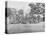 Group Photo of the 44th Indiana Infantry During the American Civil War-Stocktrek Images-Premier Image Canvas