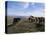 Groups of Shetland Ponies Graze the Moors of Yell, Shetlands, Scotland, United Kingdom-Lousie Murray-Premier Image Canvas