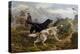 Grouse Hunting, 1880-Basil Bradley-Premier Image Canvas