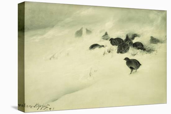 Grouse in a Snow Storm, 1890-Bruno Andreas Liljefors-Premier Image Canvas