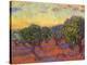 Grove of Olive Trees, 1889-Vincent van Gogh-Premier Image Canvas