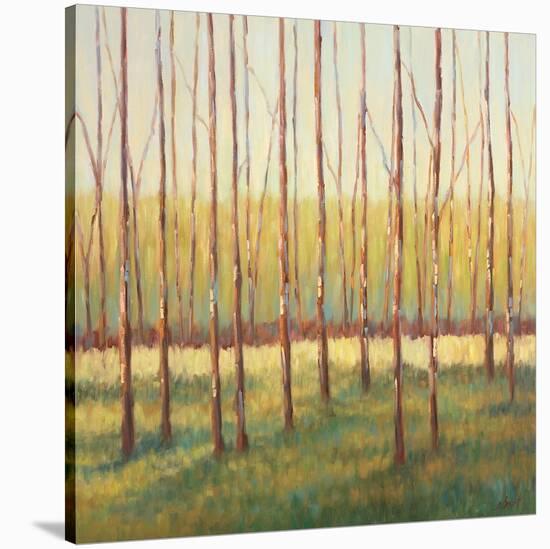 Grove of Trees-Libby Smart-Stretched Canvas