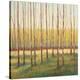 Grove of Trees-Libby Smart-Stretched Canvas