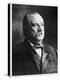 Grover Cleveland, 22nd and 24th President of the United States, 19th Century-MATHEW B BRADY-Premier Image Canvas