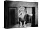 Growling Lion in a Living Room-null-Stretched Canvas