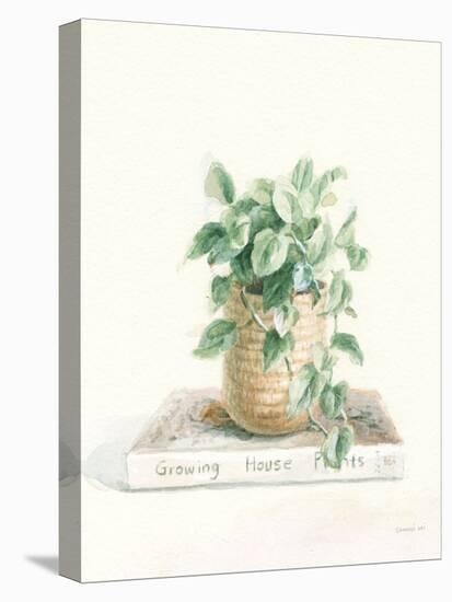 Grown at Home II Cream-Danhui Nai-Stretched Canvas