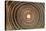 Growth Rings of a Tree-Georgette Douwma-Premier Image Canvas