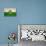 Grunge Austria State Of Steiermark Of Styria State Flag, Austria-Speedfighter-Stretched Canvas displayed on a wall