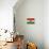 Grunge Flag Of Hungary-cmfotoworks-Stretched Canvas displayed on a wall