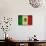 Grunge Flag Of Mexico-Graphic Design Resources-Stretched Canvas displayed on a wall