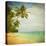 Grunge Image Of Tropical Beach-javarman-Stretched Canvas