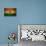 Grunge India Flag-darrenwhi-Stretched Canvas displayed on a wall