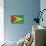 Grunge Sovereign State Flag Of Country Of Guyana In Official Colors-Speedfighter-Stretched Canvas displayed on a wall