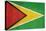 Grunge Sovereign State Flag Of Country Of Guyana In Official Colors-Speedfighter-Stretched Canvas