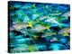 Grunts in Motion, Abacos, Bahamas-Stuart Westmoreland-Premier Image Canvas