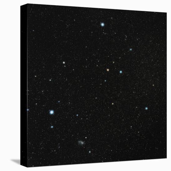 Grus Constellation-Eckhard Slawik-Premier Image Canvas