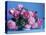 Grussan Achen Felicia and Centenaire de Lourdes Roses-Clay Perry-Premier Image Canvas