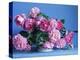 Grussan Achen Felicia and Centenaire de Lourdes Roses-Clay Perry-Premier Image Canvas