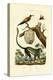 Guenon, 1833-39-null-Premier Image Canvas